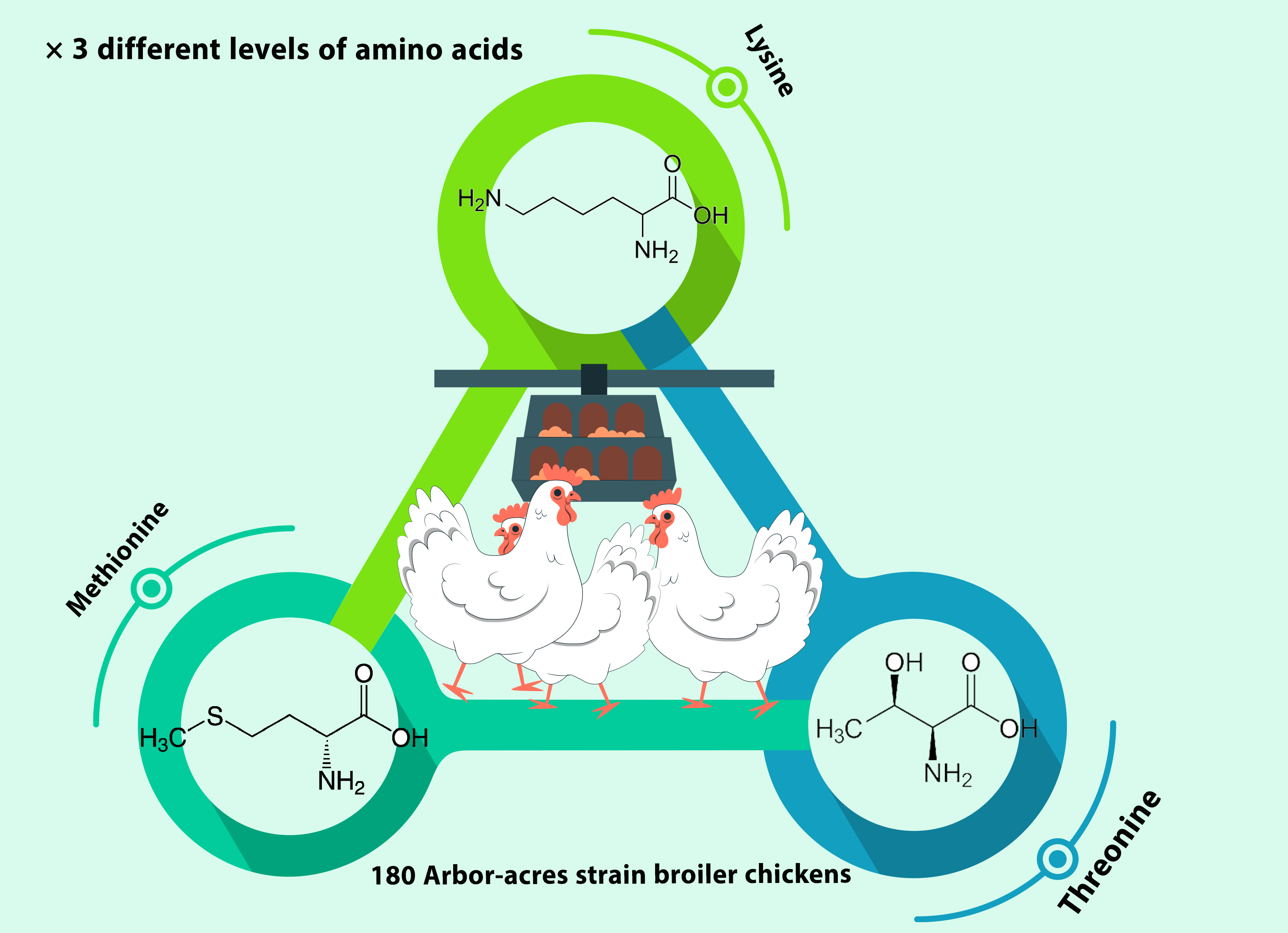 Graphical Abstract