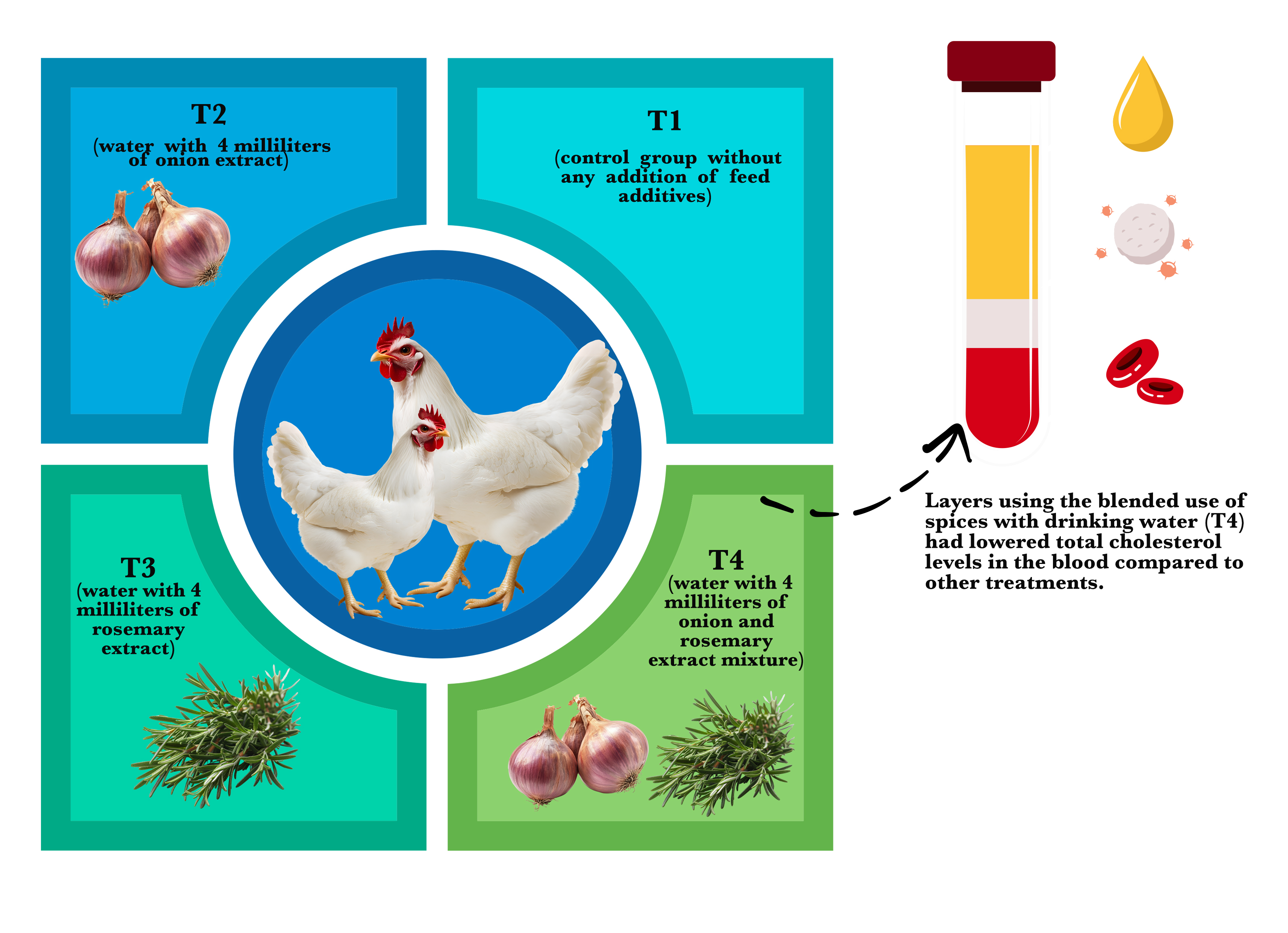 Graphical Abstract