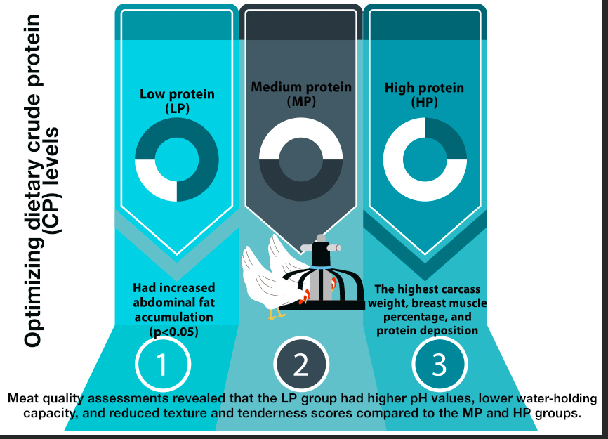 Graphical Abstract