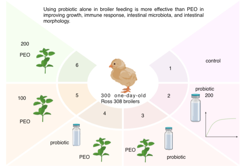 Graphical Abstract
