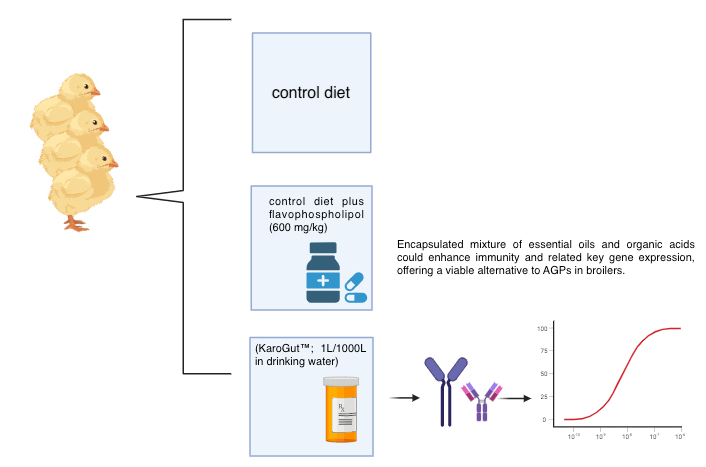 Graphical Abstract