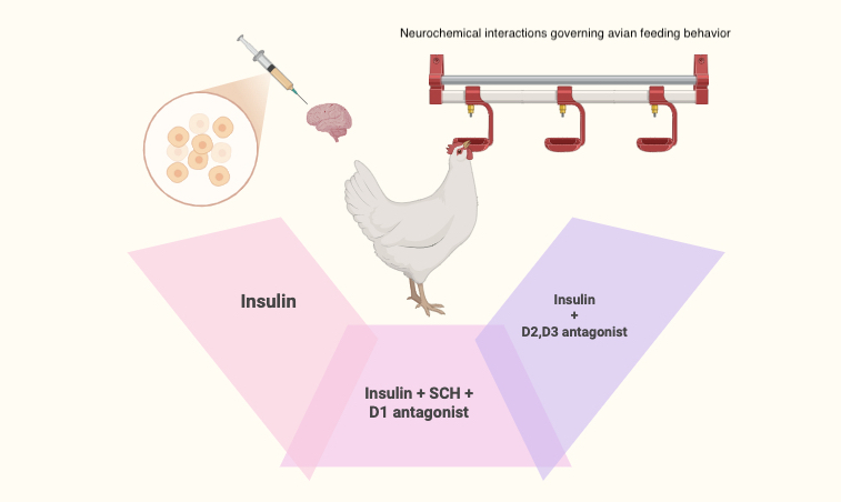 Graphical Abstract