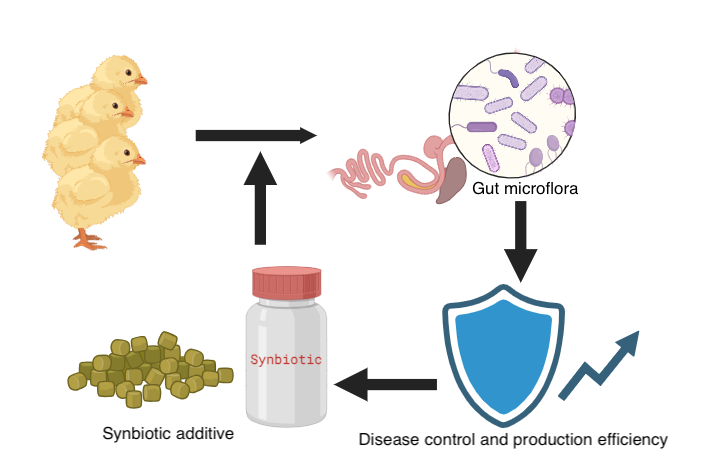Graphical Abstract