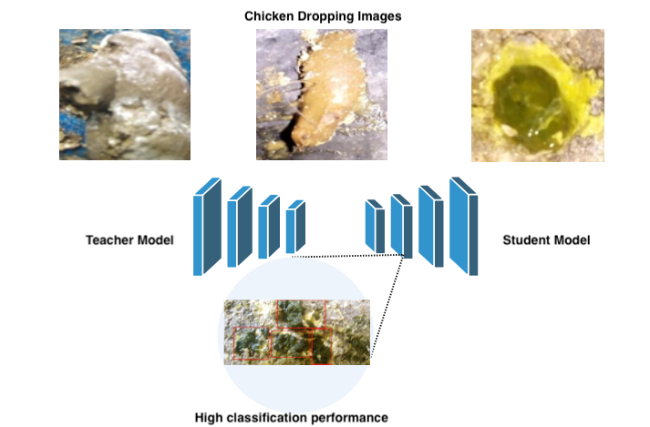 Graphical Abstract