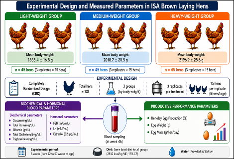 Graphical Abstract