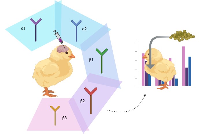 Graphical Abstract
