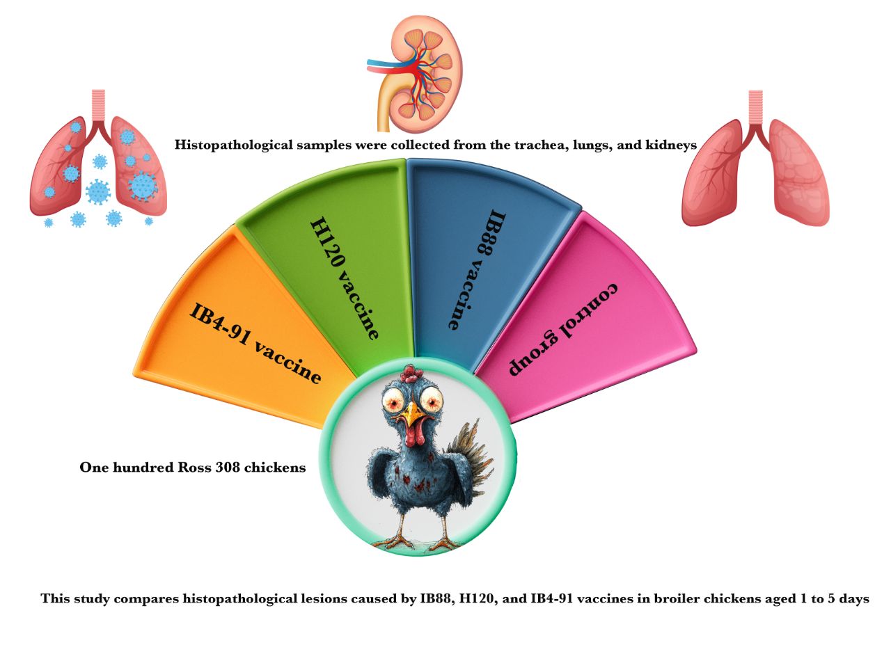 Graphical Abstract