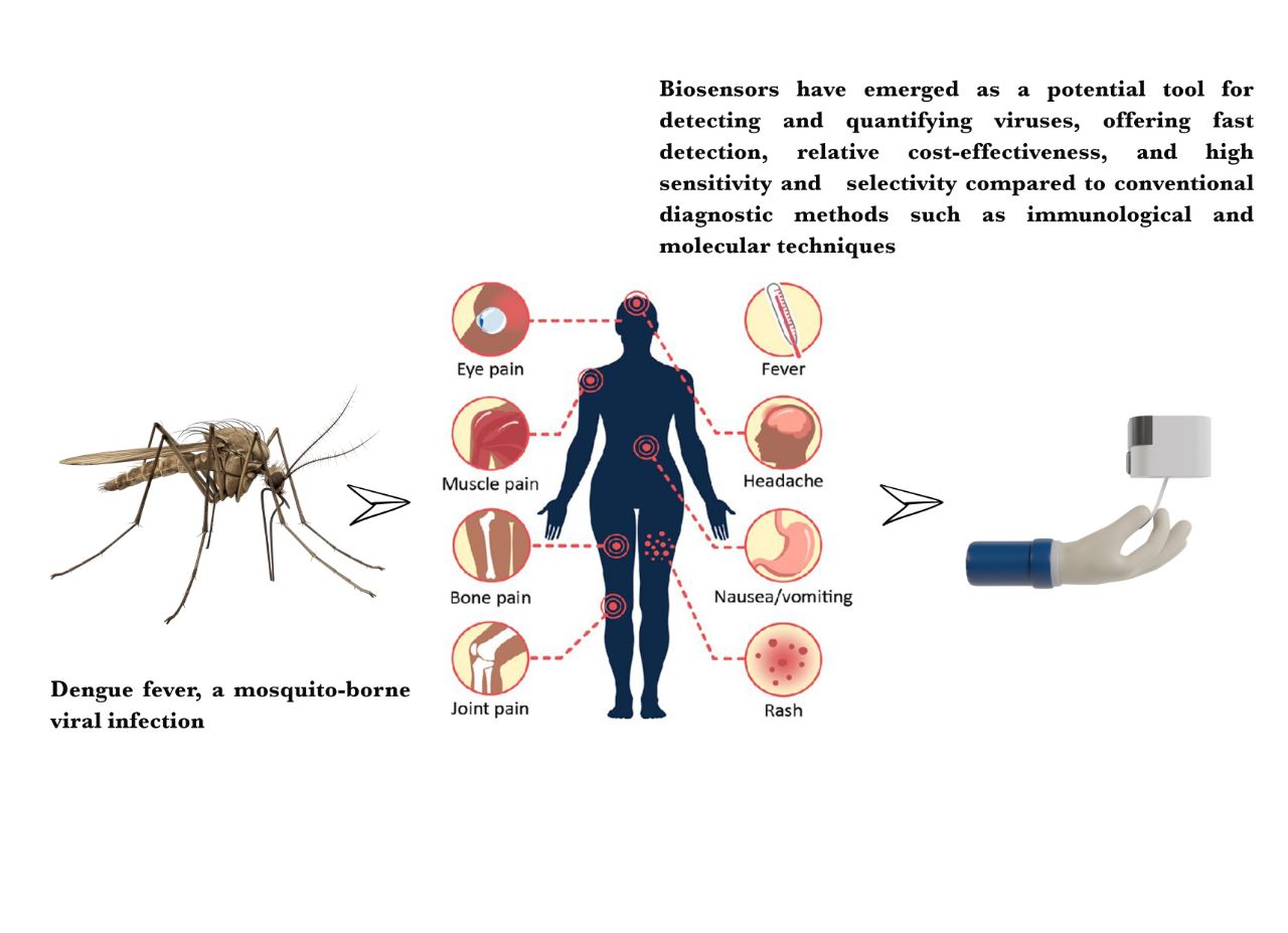 Graphical Abstract