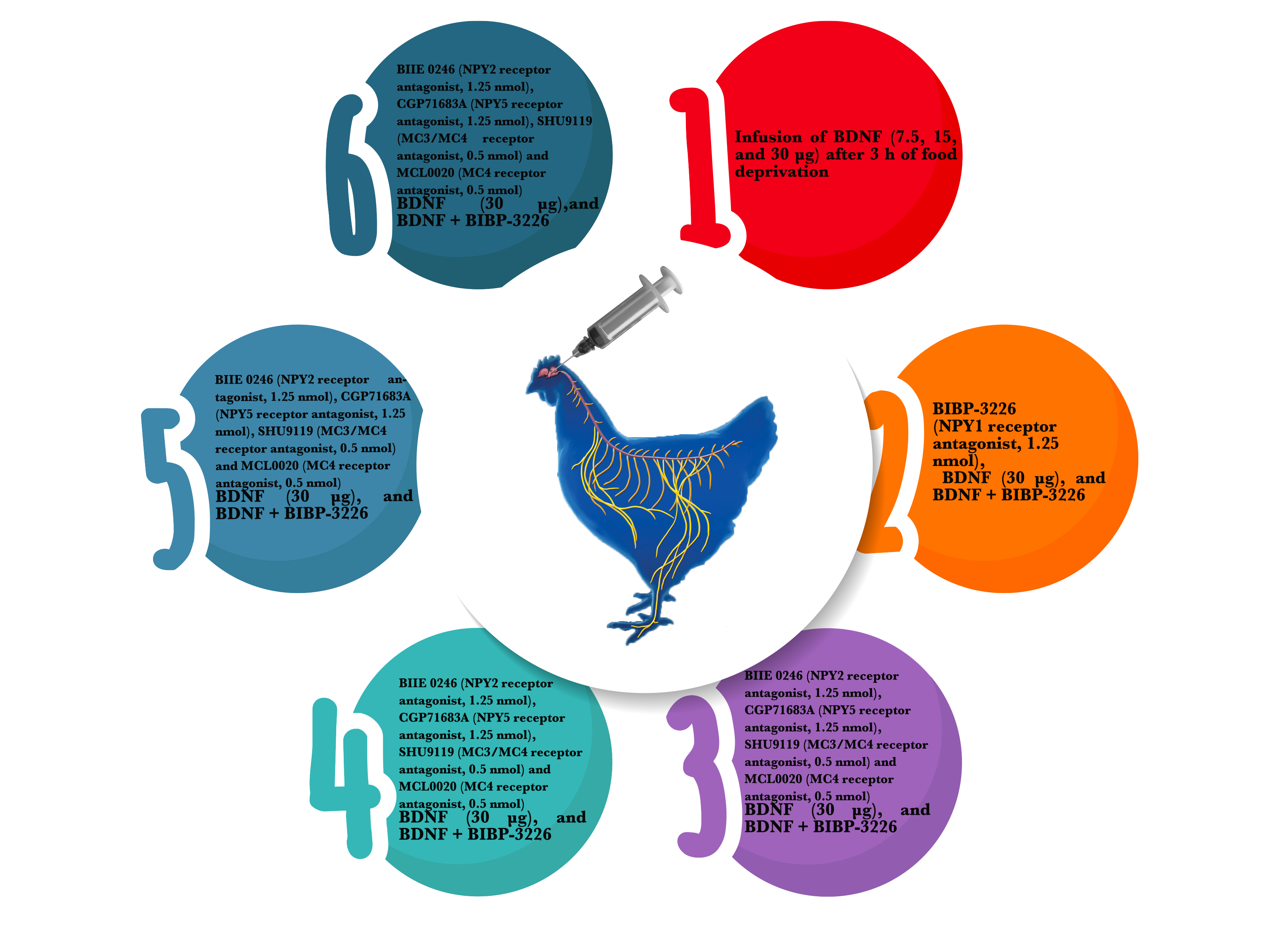 Graphical Abstract