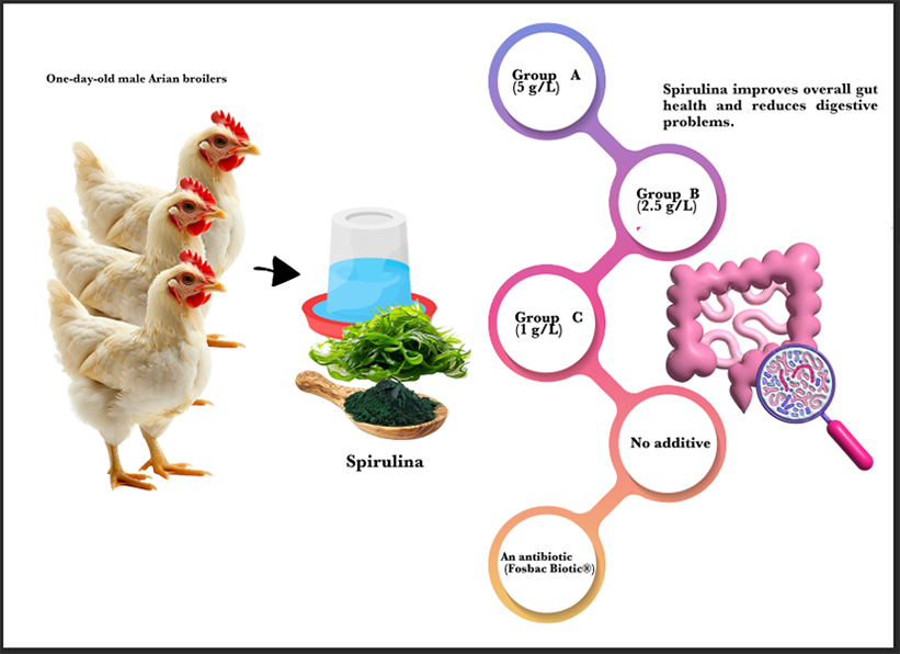 Graphical Abstract