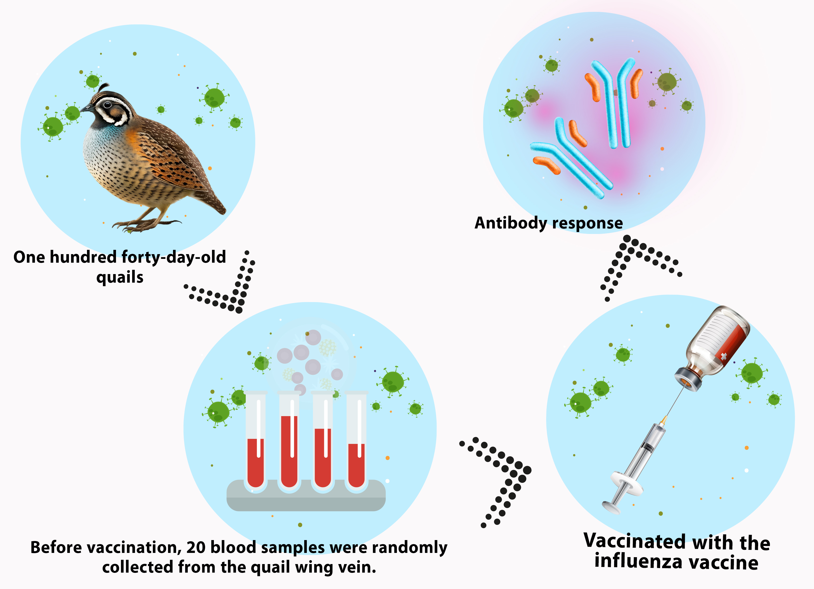 Graphical Abstract